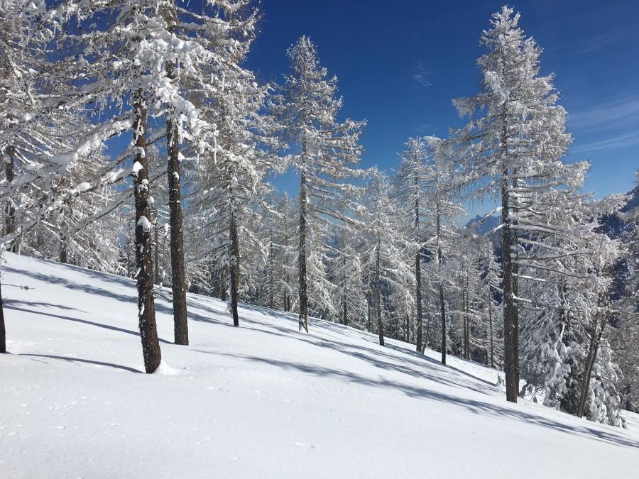Skitour im Bodental (G. Ogris)